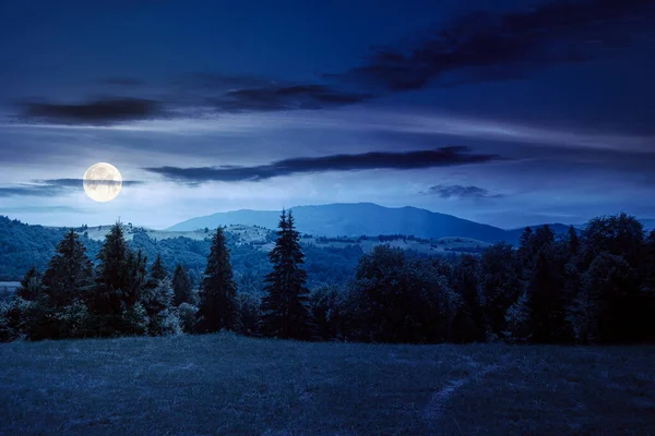 Countryside Landscape Night Summer Forested Hills Grassy Meadows Mountains Scenery — Fotografia de Stock
