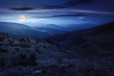 rolling hills and grassy meadows of carpathians. chornohora mountain ridge in the distance on a summer night with clouds on the sky in full moon light