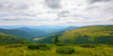 view in to the mountain valley. beautiful summer landscape of trascarpathia with forested hills and grassy alpine meadows