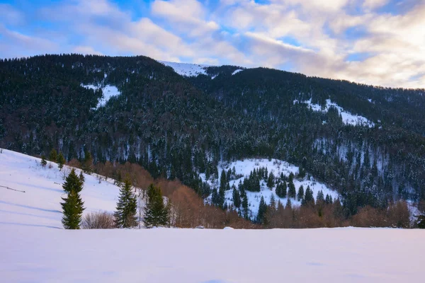 Stock image mountain landscape at sunrise. trees on the snow covered hills. sky with glowing clouds