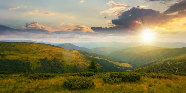 Carpathian Mountain Range Summer Sunset Landscape Forested Hills Grassy Meadows — Fotografia de Stock