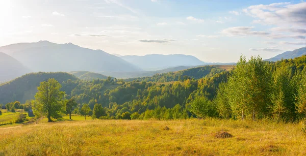 Mountainous Rural Landscape Sunny Afternoon Forested Hills Green Grassy Meadows — Stockfoto