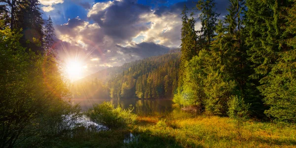 See Zwischen Dem Fichtenwald Bei Sonnenuntergang Atemberaubende Naturkulisse Den Karpaten — Stockfoto