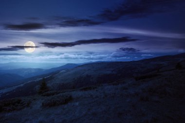 view in to the mountain valley at night. beautiful summer landscape of trascarpathia with forested hills and grassy alpine meadows in full moon light