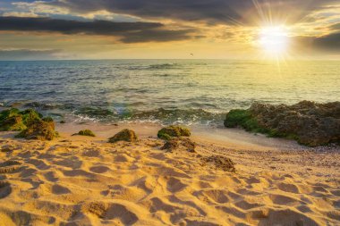 sunny sunset scenery at the sea. calm waves washing the sandy beach. transparent water and bright blue sky in evening light