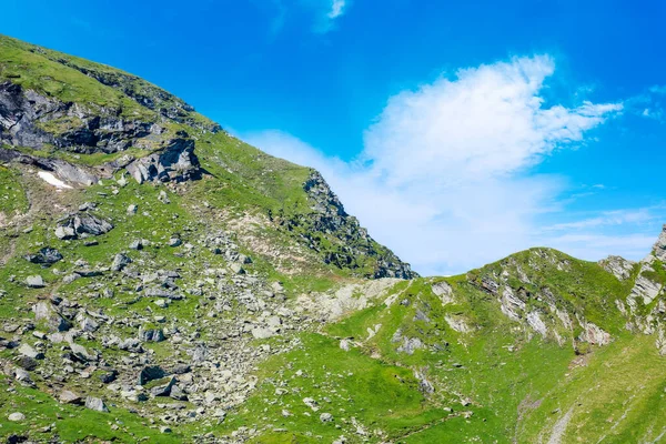 Wonderful Summer Scenery Romania Fagaras Mountain Range Bright Morning Green — Stockfoto