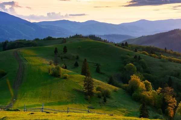 Countryside Scenery Carpathian Mountains Beautiful Nature Background Sunset Spring Trees — Stock Photo, Image