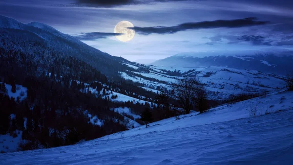 冬天的夜晚 喀尔巴阡山的乡村风景 白雪覆盖着满月的山丘 远处是带着克拉丝娜山脊的风景 山谷中的Synevir村 — 图库照片