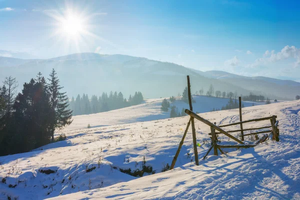 Carpathian Countryside Evening Light Trees Snowy Rural Fields Hill Snow — Stock Photo, Image