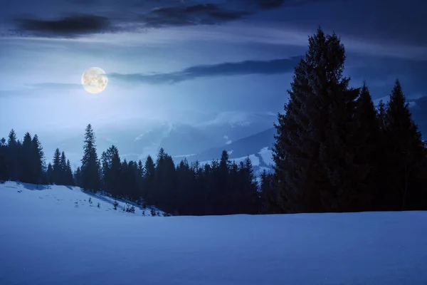 喀尔巴阡山脉 夜间有云杉树 白色季节 有着雪山和草地的神秘风景 月圆光下 薄雾蒙蒙的波尔查瓦山脊轮廓 — 图库照片