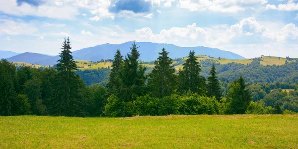 Countryside Landscape Sunny Summer Day Forested Hills Grassy Meadows Mountains —  Fotos de Stock