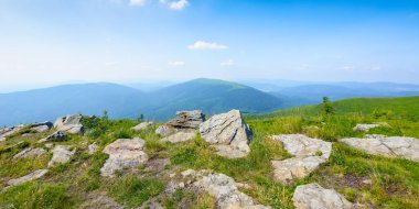Akşam ışığında Karpat Alp Çayırları. Çimlerin arasında taşlar, tepelerde ağaçlar ve derin vadilerin olduğu güzel dağ manzarası. Uzaktaki açık manzaraya çarpıcı bir manzara