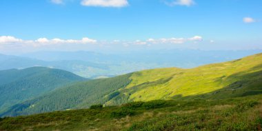 Karpat Dağları 'nın tepeleri ve çayırları. Güneşli bir günde yeşil yamaçlı yaz manzarası. Uzakta kabarık bulutlar olan bir gökyüzünün altında