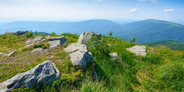 Akşam ışığında Karpat Alp Çayırları. Çimlerin arasında taşlar, tepelerde ağaçlar ve derin vadilerin olduğu güzel dağ manzarası. Uzaktaki açık manzaraya çarpıcı bir manzara