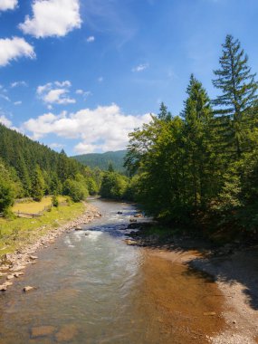 countryside landscape with mountain river. trees along the rocky shore and forest on the hill