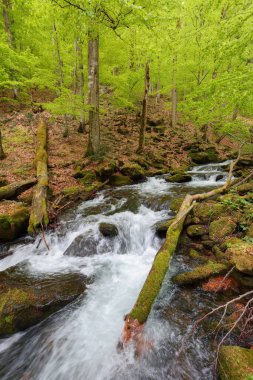 stream in the forest among boulders. beautiful nature landscape in spring