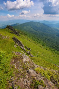summer mountain landscape. rocks on the grassy hills. beautiful scenery on a sunny day