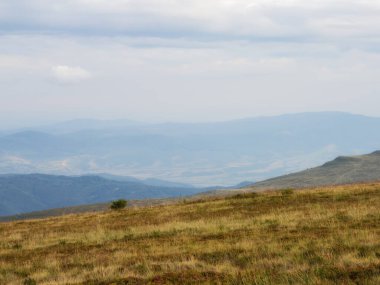 mountain landscape with grassy meadow. overcast sky
