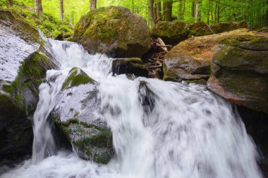 waterfall in the forest. beautiful nature scenery in summer