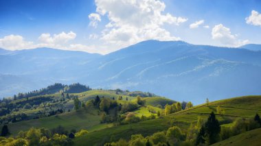 grassy hills and meadows on rolling hills. beautiful mountain landscape with borzhava ridge in the distance in evening light