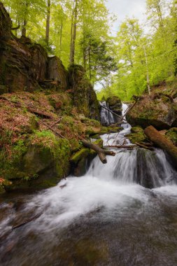 waterfall on the stream among boulders. nature scenery in carpathian woods