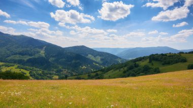 countryside scenery with meadow in mountains. empty grassy pasture in summer. green hay field landscape on a sunny day