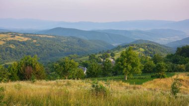 sunset over the rural valley. trees, fields and meadows on rolling hills. beauty of mountainous carpathian countryside