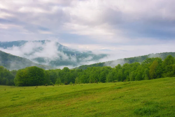 Countryside Mountain Landscape Green Meadows Forested Hills Spring Misty Morning — 스톡 사진