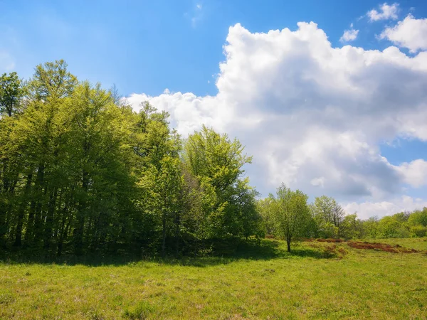 Karpaten Mit Bewaldeten Hügeln Weite Wiesenlichtung Umgeben Von Buchenwald Antalovecka — Stockfoto