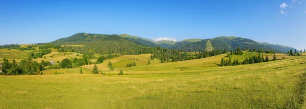 Bäuerliche Landschaft Mit Wiesen Und Weiden Bäume Auf Dem Hügel — Stockfoto