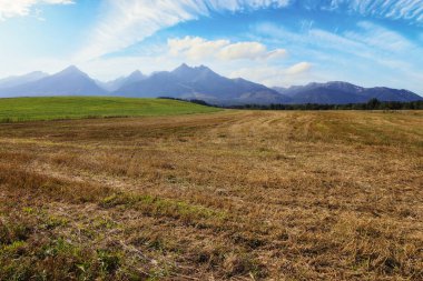 Slovakya 'daki manzaralı kırsal Tatra dağı manzarası. Vadideki tarım alanları