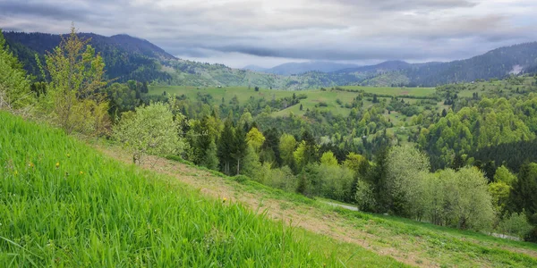 畑のある緑の春の山の風景 曇りの朝のカルパチア地方の風景 — ストック写真