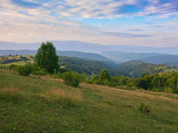 Ländliche Berglandschaft Abendlicht Atemberaubende Landschaft Mit Bäumen Und Wiesen Auf — Stockfoto