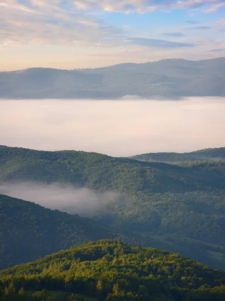 Krásný Úsvit Horách Mlhou Údolí Zalesněné Kopce Pokryté Ranní Mlhou — Stock fotografie
