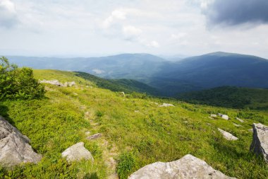 Yamaçtaki çimlerin arasında taşlarla dolu çayır. Güneşli bir öğleden sonra. Yazın dağlık kırsal alan. Sabahın ilk ışıklarıyla uzak kırsal vadiye bakın. Ukraynalı Karpatların güzelliği