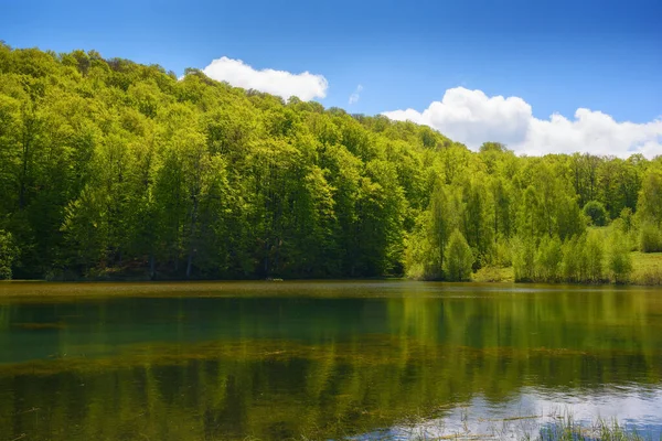 田舎の池の風景 水面に映る森 春の晴天 — ストック写真