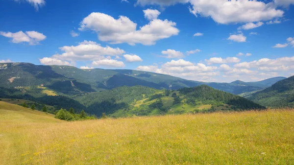长满青草的山丘和起伏的山丘上的草地 夏天喀尔巴阡山的风景 轻飘飘的云彩映衬着田园风光 — 图库照片