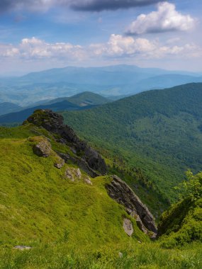 Dağlardaki doğa manzarası. Yazın Karpatya havza sırtı. güneşli hava