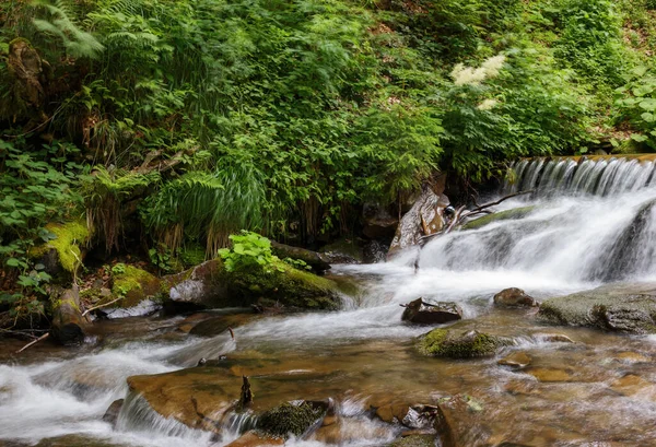 Potok Lese Přírodní Tapety Kaskádami Teplé Letní Ráno — Stock fotografie