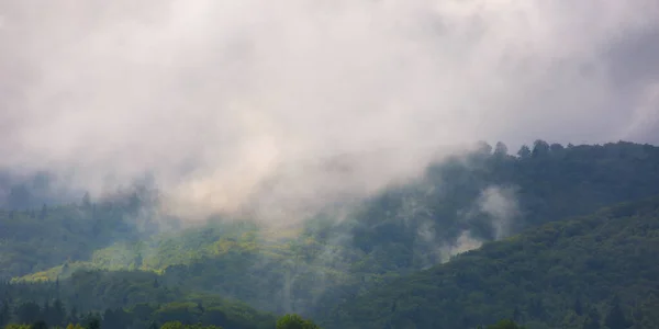 Blick Auf Grüne Bewaldete Hügel Nebel Dramatische Wolken Über Dem — Stockfoto