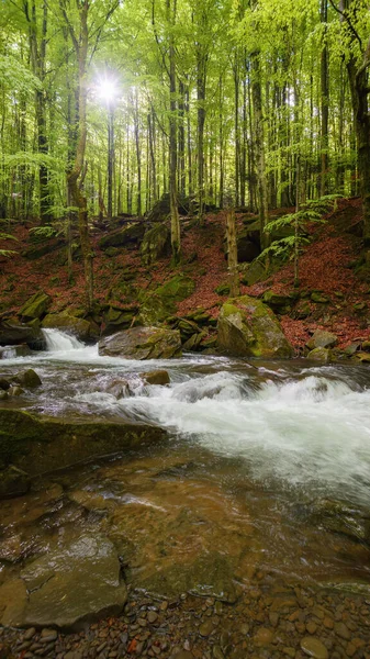 Ormandaki Nehirde Kayaların Arasında Lkbaharda Kırsal Manzara Doğadaki Güzellik — Stok fotoğraf