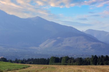 Kırsal Tatra Vadisi manzarası. Yazın huzurlu Slovakya manzarası