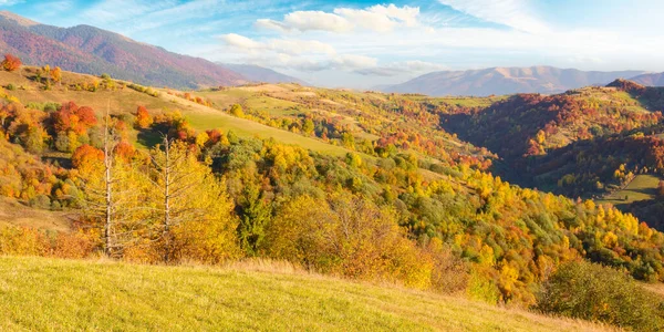Beautiful Autumn Mountain Landscape Afternoon Colorful Trees Green Hills Evening — Fotografia de Stock