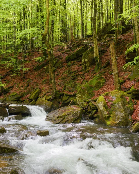 Bach Wald Zwischen Steinen Natur Freien Frühling Ökologie Und Frischwasserkonzept — Stockfoto