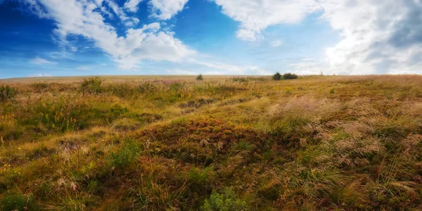山中草甸的乡村风景 山上被风吹日晒的草地 — 图库照片