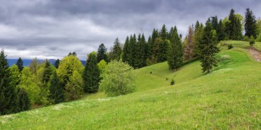 Orman tepeli doğa manzarası. Karpat Dağları 'nın uzak vadisine bakın. Çimenli yemyeşil çayırlar. bulutlu gökyüzü