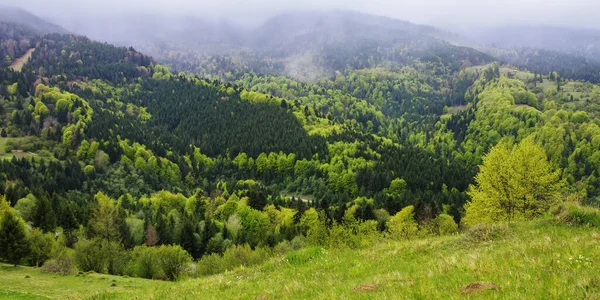 Molnigt Grönt Bergslandskap Våren Träd Gräsbevuxna Kullar — Stockfoto