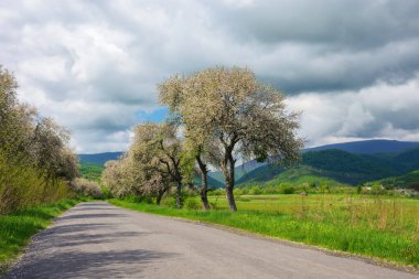 spring blooms create a beautiful background for the winding road through the countryside. picturesque view of the serene mountain range and vast fields. beauty of the rural landscape