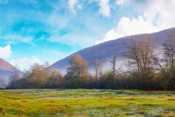 Carpathian Countryside Misty Autumn Morning Nature Scenery Grassy Meadow Forest — Stock fotografie