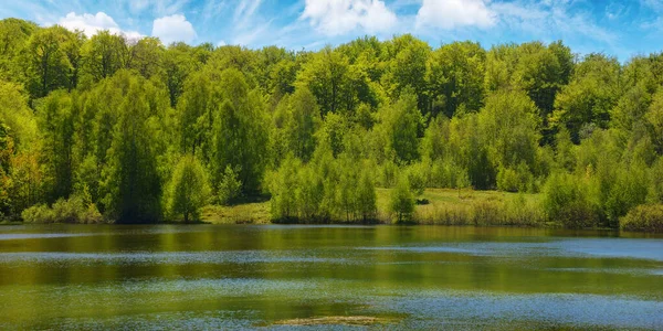 Krajobraz Stawem Górskim Las Odbijający Się Powierzchni Wody Ciepły Kwiecień — Zdjęcie stockowe